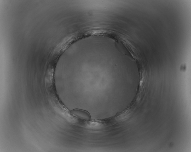 X0000110930475200907021527