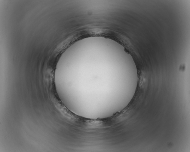 X0000110930476200907021527