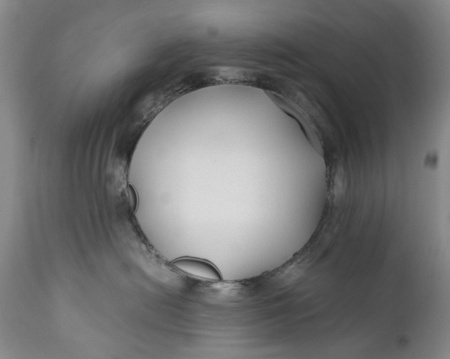 X0000110930478200907021527