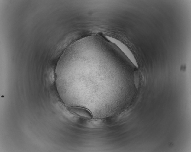 X0000110930479200907021527