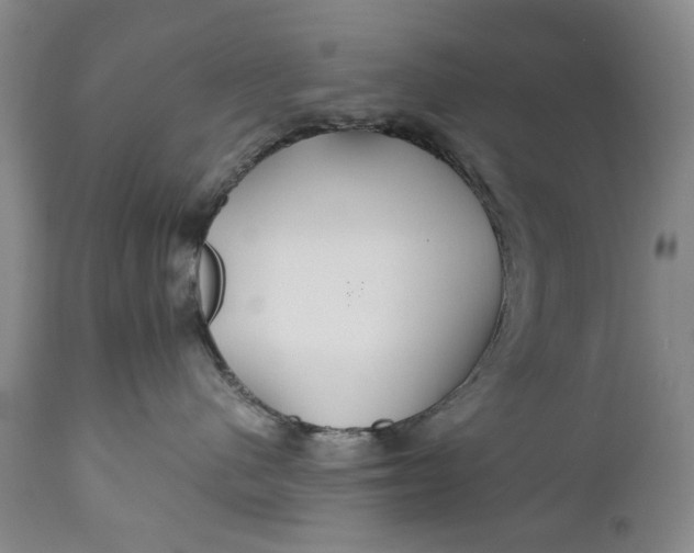 X0000110930480200907021527