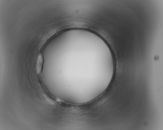 X0000110930481200907021527