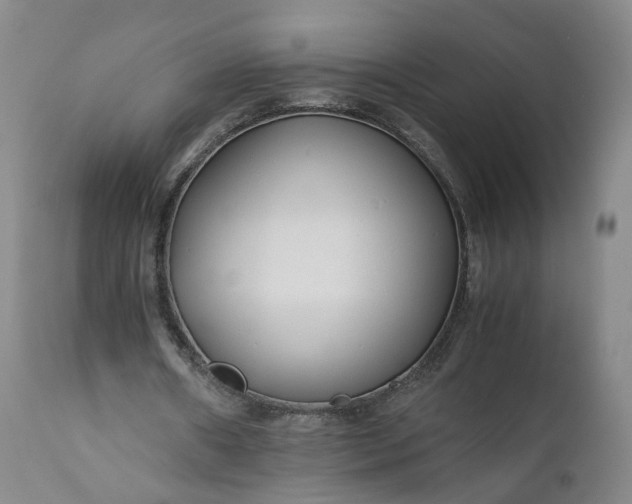 X0000110930482200907021527