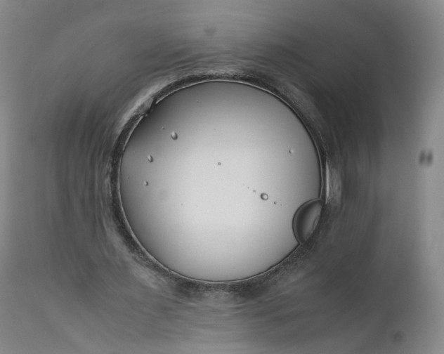 X0000110930483200907021527