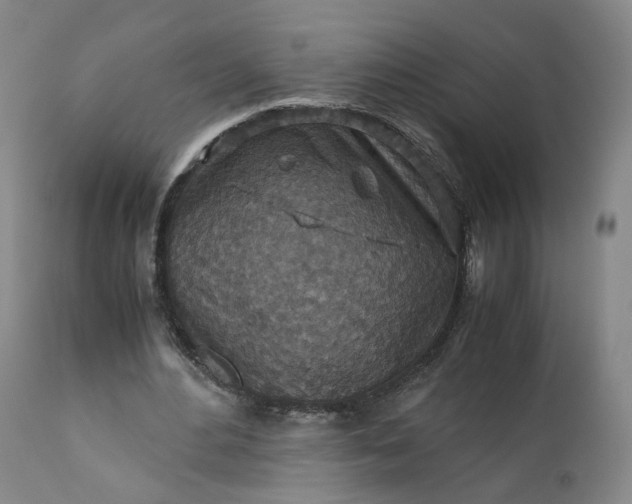 X0000110930484200907021527