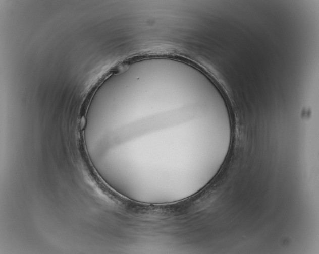 X0000110930485200907021527