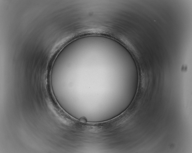 X0000110930486200907021527