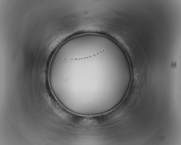 X0000110930487200907021527