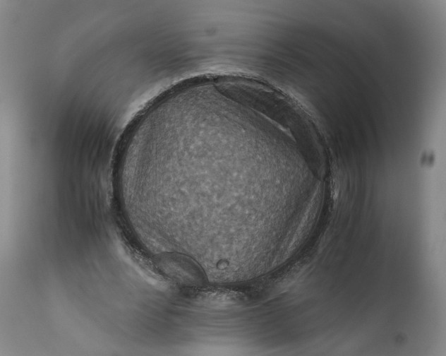 X0000110930488200907021527