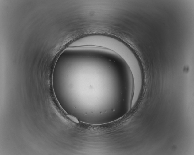 X0000110930489200907021527