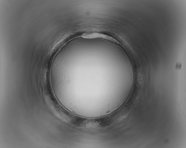 X0000110930491200907021527