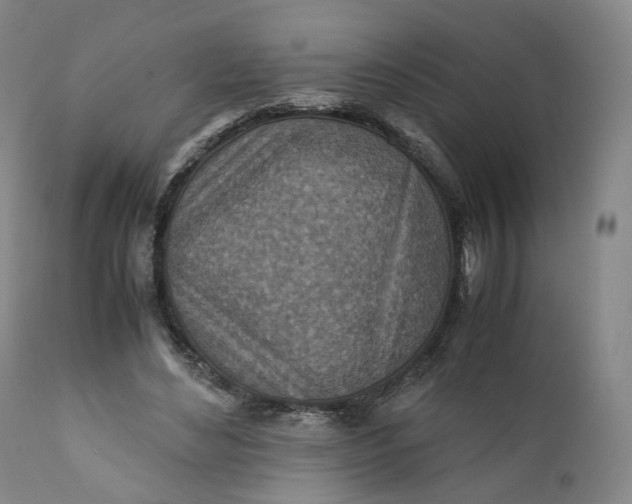 X0000110930492200907021527