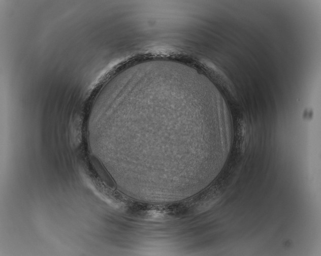X0000110930496200907021526