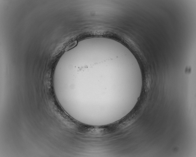 X0000110930497200907021526