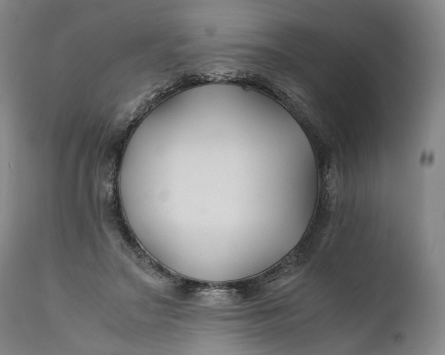 X0000110930499200907021526
