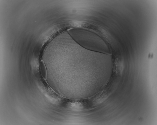 X0000110930500200907021526