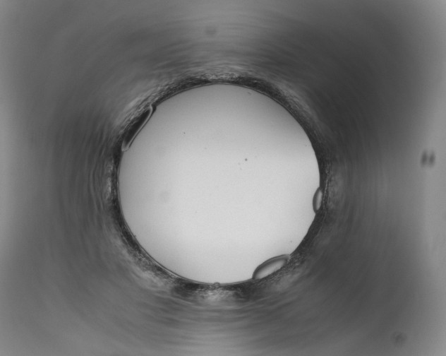 X0000110930501200907021526