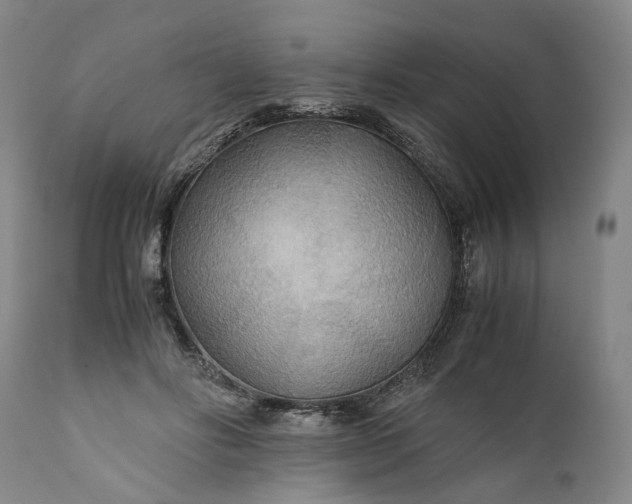X0000110930502200907021526