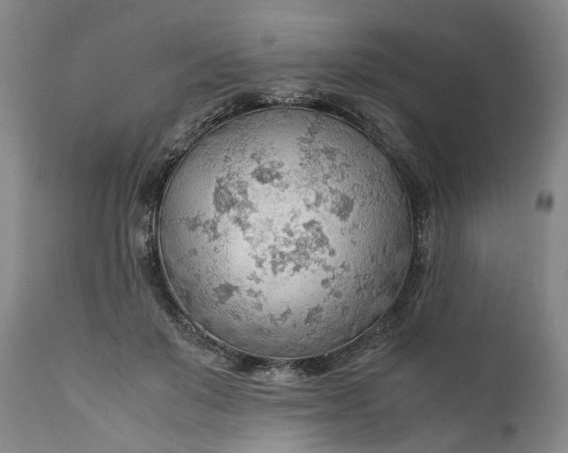 X0000110930503200907021526