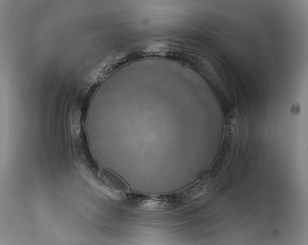 X0000110930504200907021526