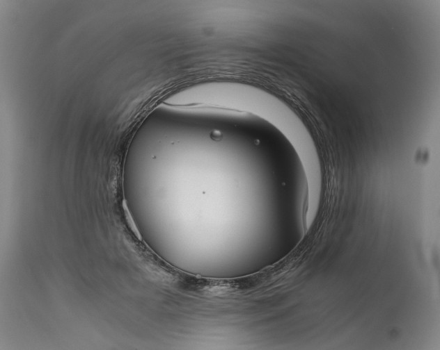 X0000110930505200907021526