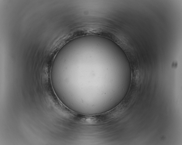 X0000110930506200907021526
