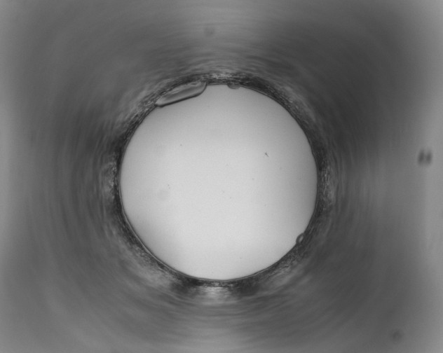 X0000110930509200907021526