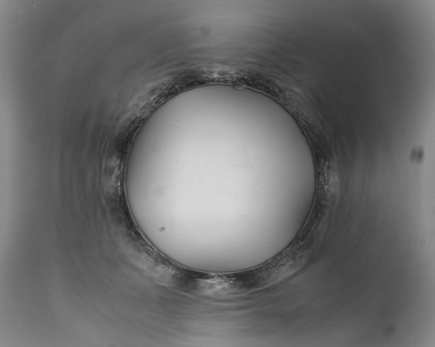 X0000110930511200907021526