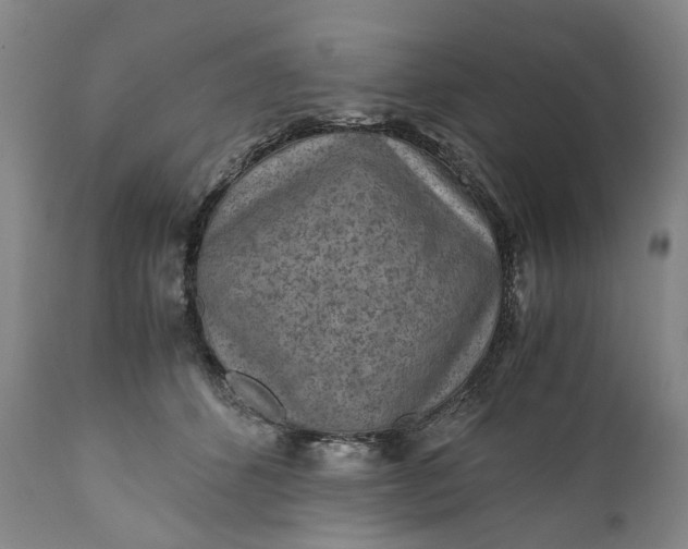 X0000110930512200907021526
