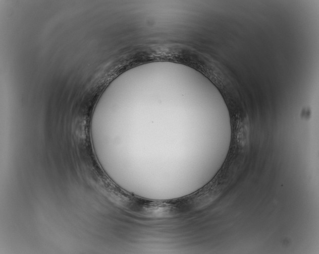 X0000110930514200907021526