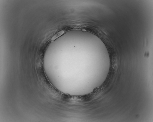 X0000110930515200907021526
