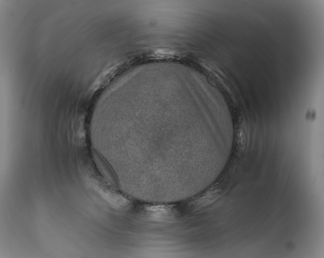 X0000110930516200907021526