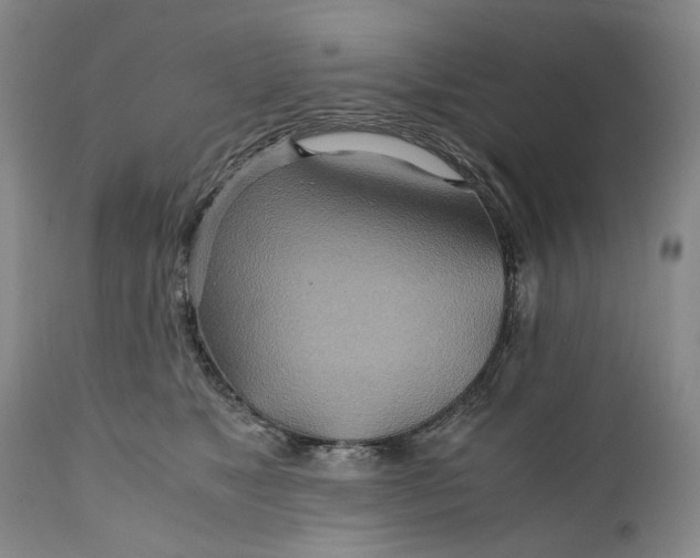 X0000110930517200907021526