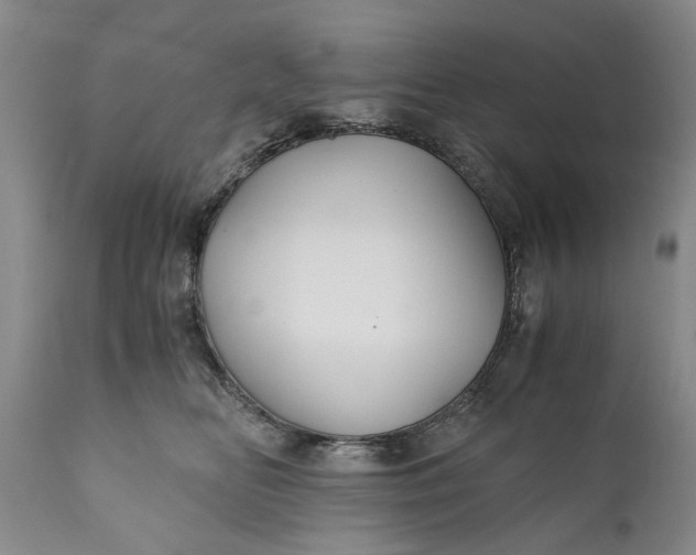 X0000110930518200907021526