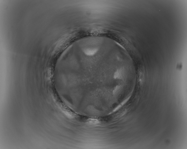 X0000110930519200907021526