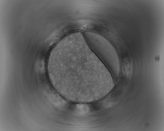 X0000110930520200907021526