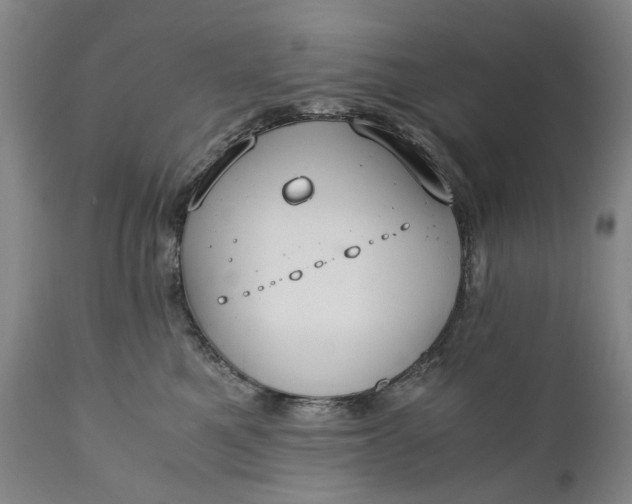 X0000110930521200907021526