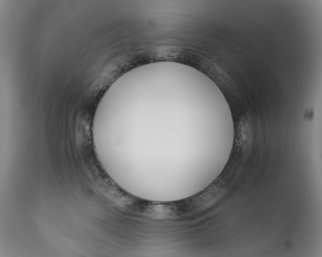 X0000110930522200907021526