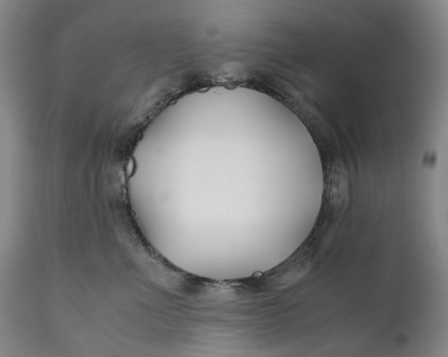 X0000110930523200907021526