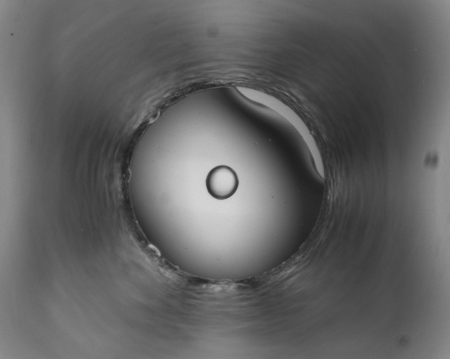 X0000110930524200907021526