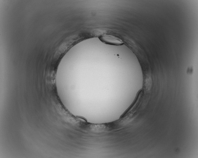 X0000110930525200907021526