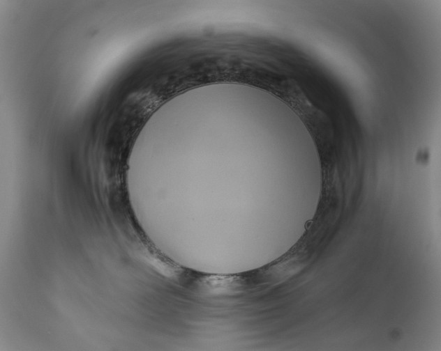 X0000110930526200907021526