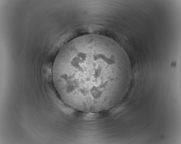 X0000110930527200907021526