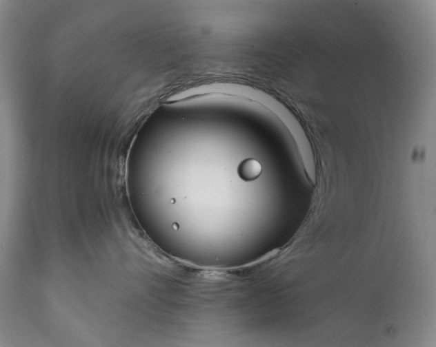X0000110930528200907021526
