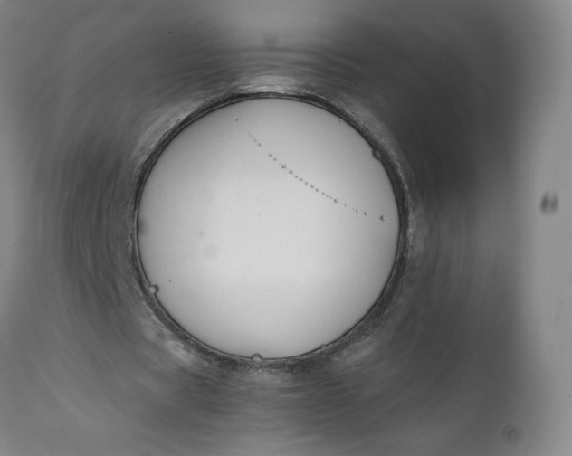 X0000110930529200907021525