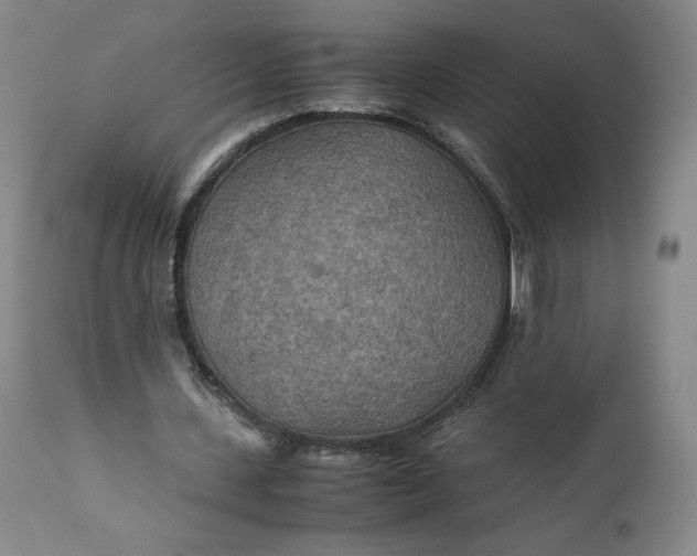 X0000110930531200907021525
