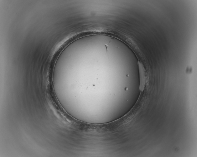 X0000110930532200907021525