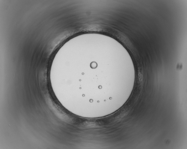 X0000110930534200907021525