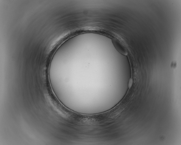 X0000110930535200907021525