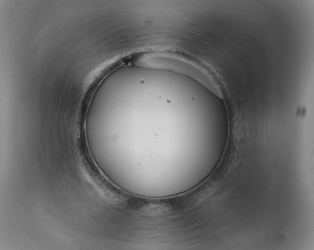X0000110930536200907021525